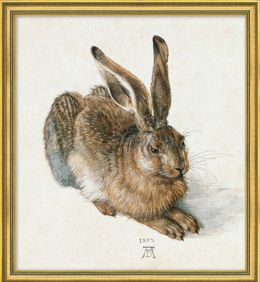 Albrecht Dürer Bild "Junger Feldhase" (1502), Version Goldfarben Gerahmt Tierdarstellungen