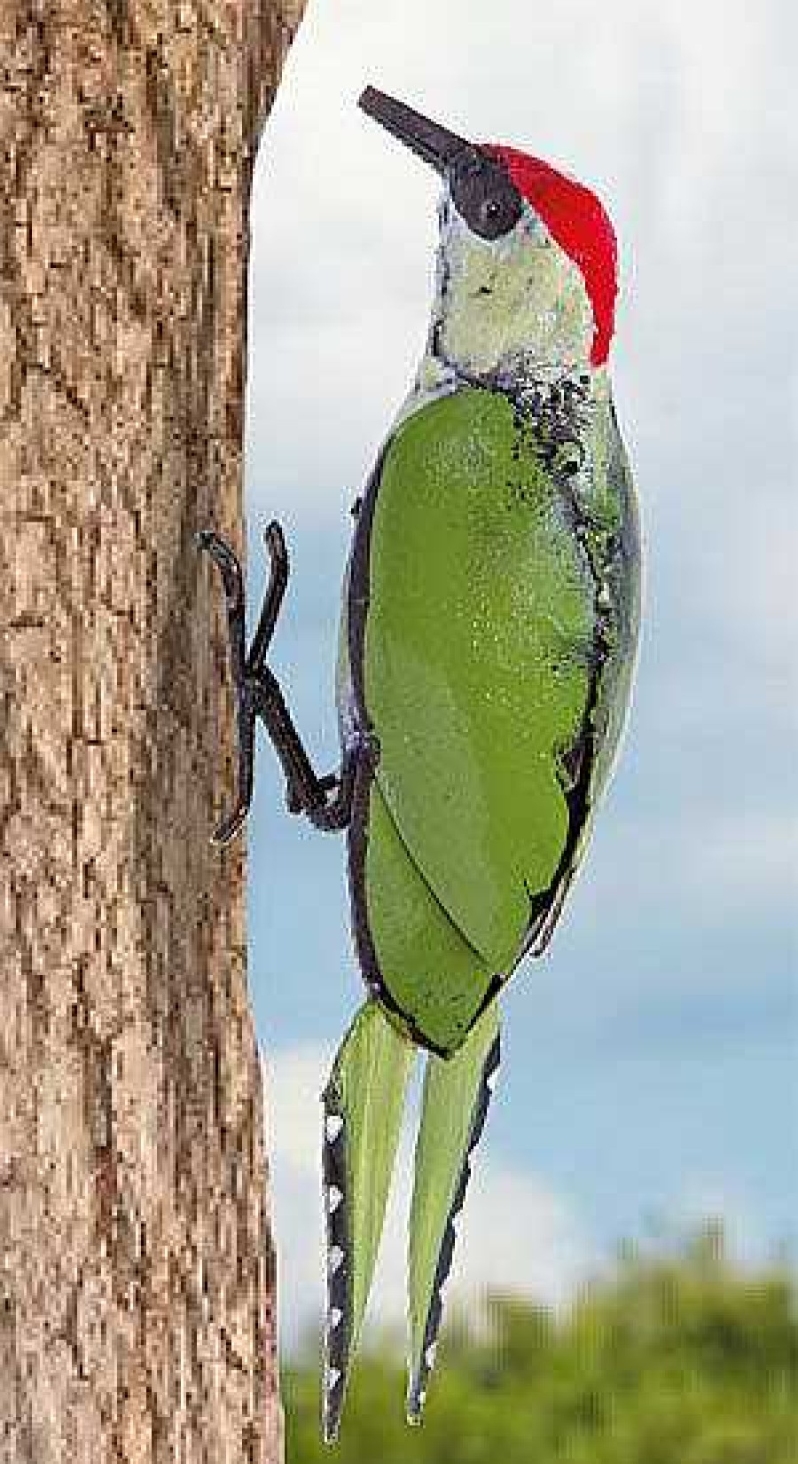 ars mundi Gartenfigur "Grunspecht" Tierskulpturen