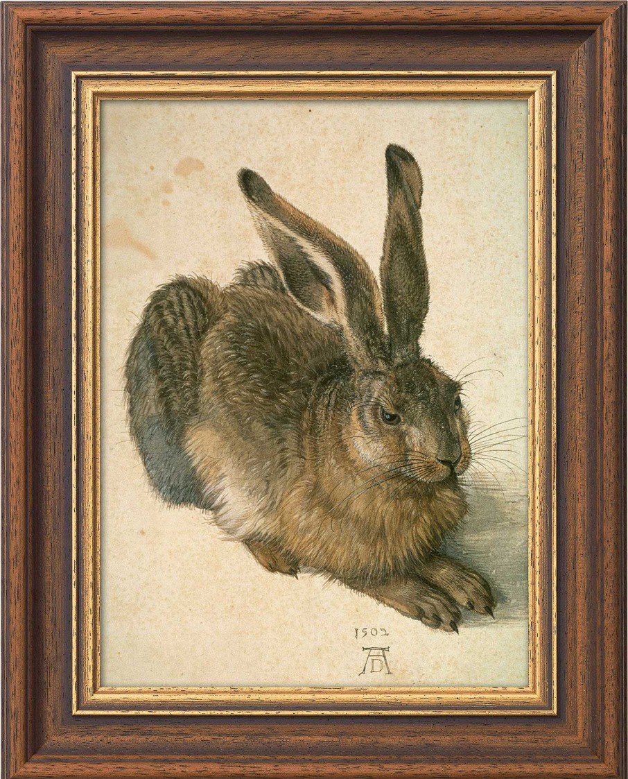 Albrecht Dürer Bild "Junger Feldhase" (1502), Gerahmt Tierdarstellungen