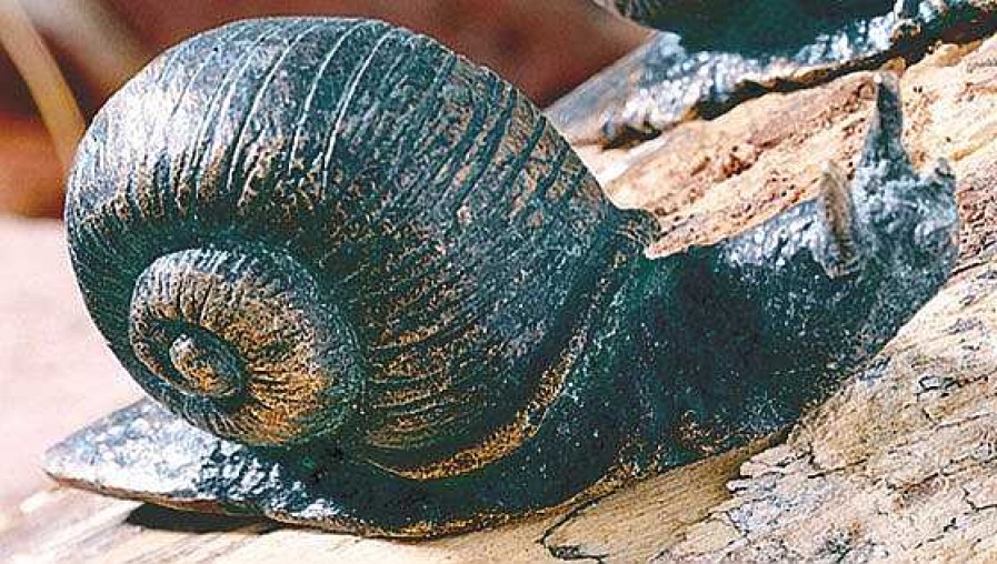 ars mundi Gartenskulptur "Schnecke Klein", Bronze Tierskulpturen