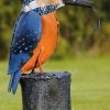 ars mundi Gartenfigur "Eisvogel Mit Fisch" Skulpturen