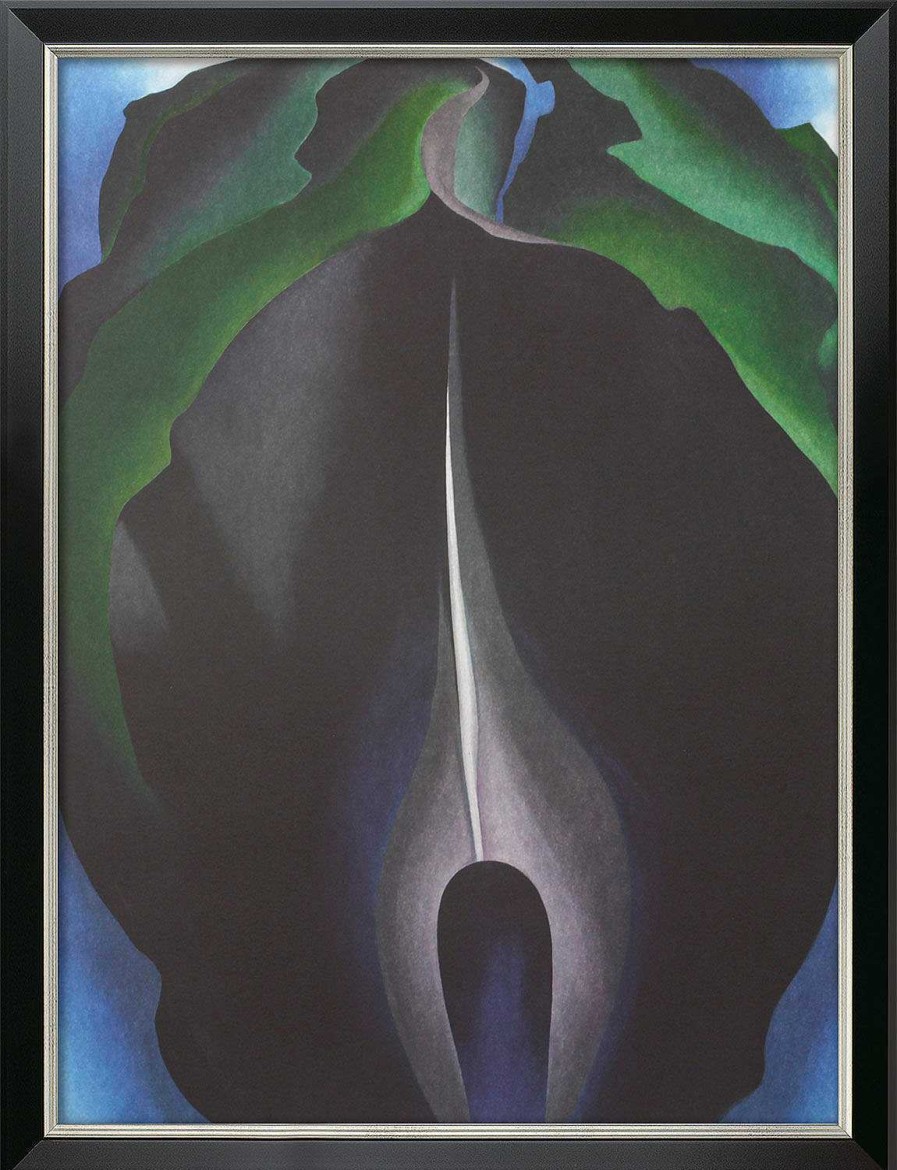 Georgia O'Keeffe Bild "Jack-In-The-Pulpit No. Iv" (1930), Gerahmt Abstrakte Bilder