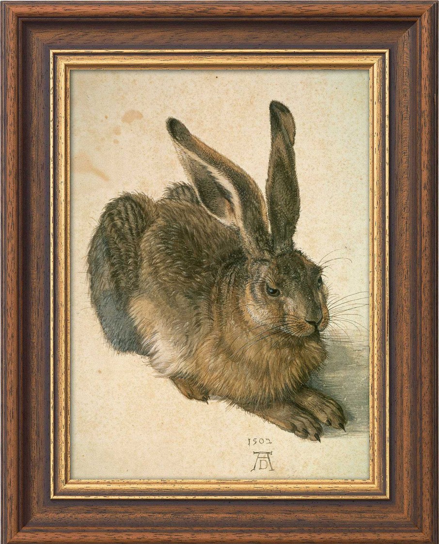 Albrecht Dürer Bild "Junger Feldhase" (1502), Gerahmt Renaissance