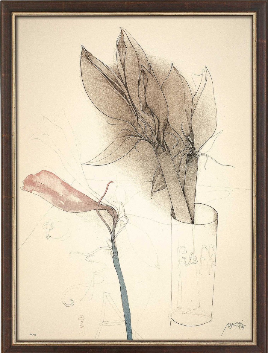 Bruno Bruni Bild "Amaryllis Und Gaffel" (1987), Gerahmt Stillleben