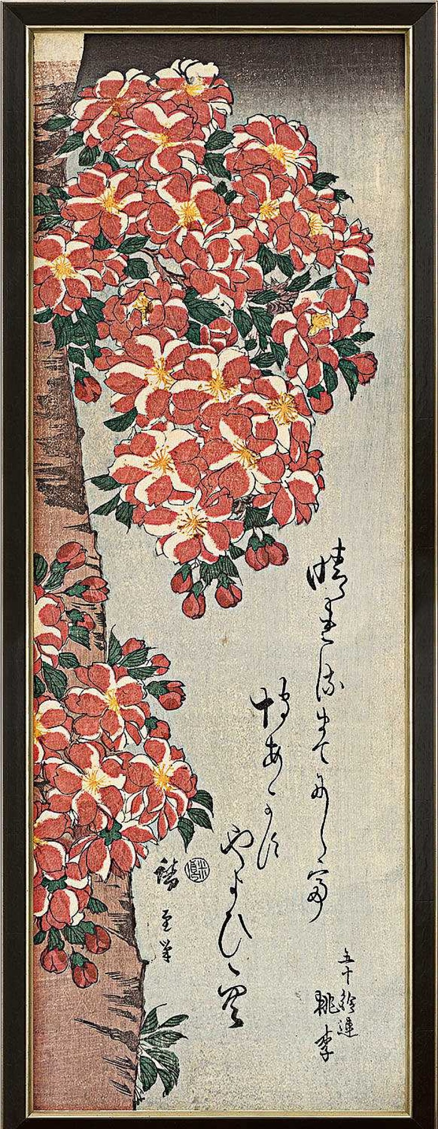 Ando Hiroshige Bild "Double Cherry In Flower", Gerahmt Asien