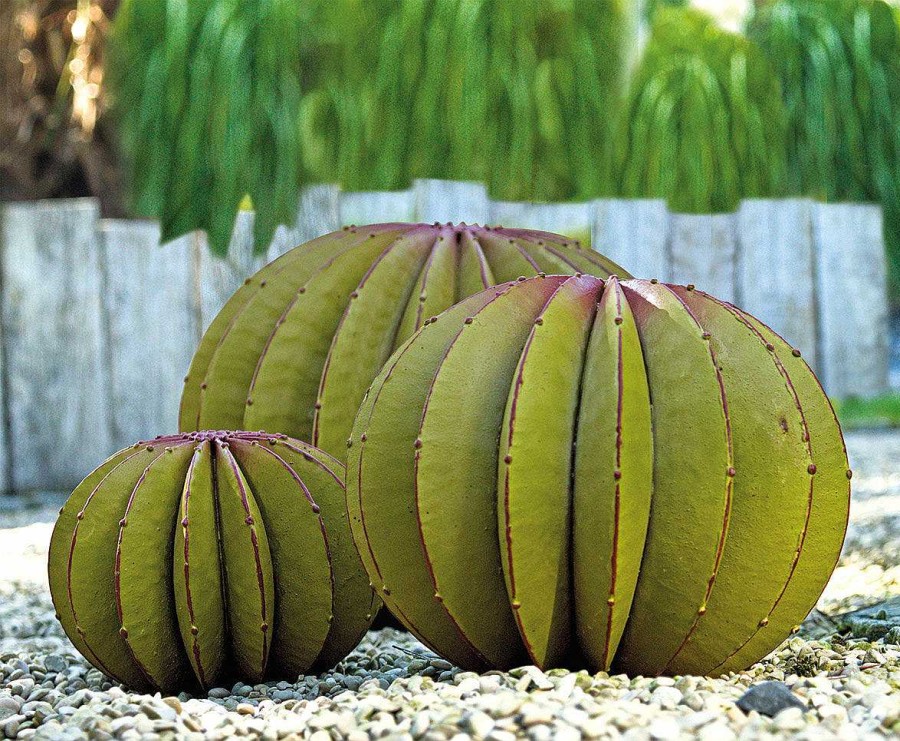 ars mundi Gartenobjekt "Kugelkaktus" (Mittelgrose Version, Rechts Auf Abbildung) Gartenobjekte