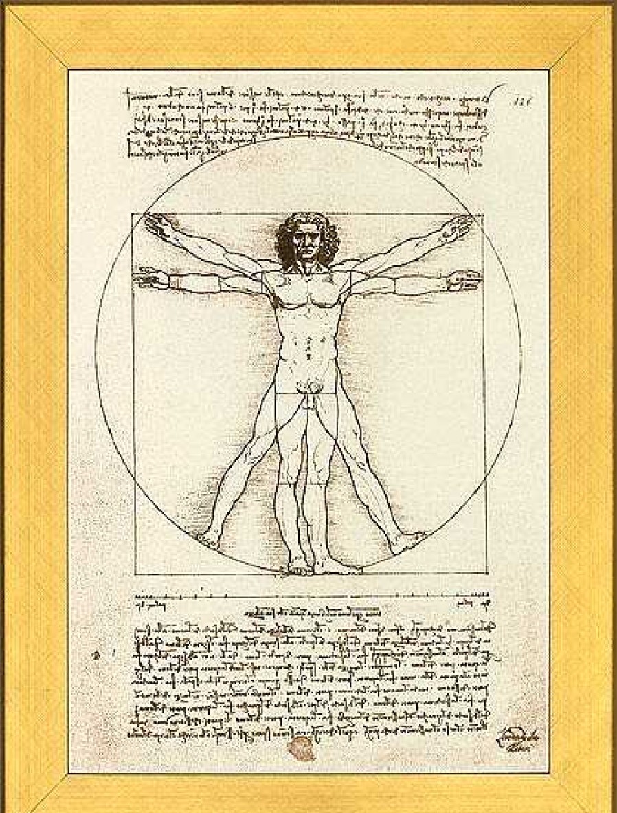 Leonardo da Vinci Bild "Proportionsschema Der Menschlichen Gestalt Nach Vitruv", Gerahmt Faksimile