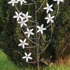 ars mundi Gartenstecker-Blumenset "Jasmin", 3-Teilig Sonstige Gartenaccessoires