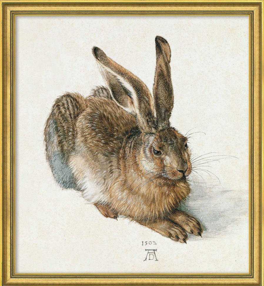 Albrecht Dürer Bild "Junger Feldhase" (1502), Version Goldfarben Gerahmt Renaissance