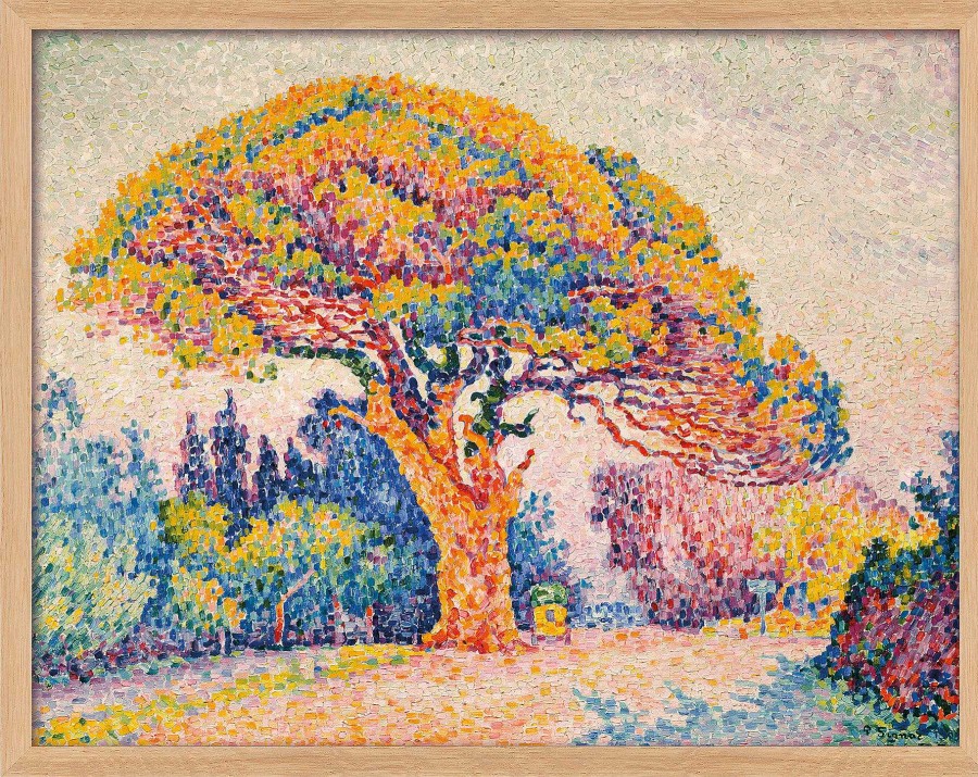 Paul Signac Bild "Die Pinie Von Bertaud (Bei Saint-Tropez)" (1909), Version Naturfarben Gerahmt Impressionismus