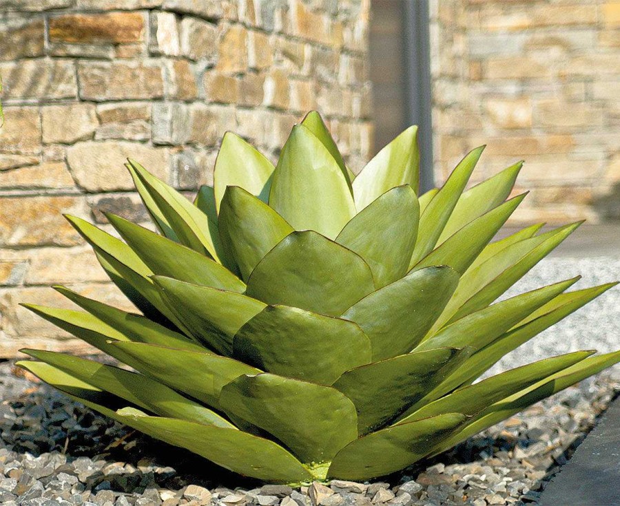 ars mundi Gartenobjekt "Agave" Sonstiges